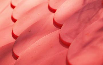 Beercrocombe plastic roof costs