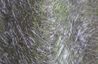 Beercrocombe fibreglass roof work